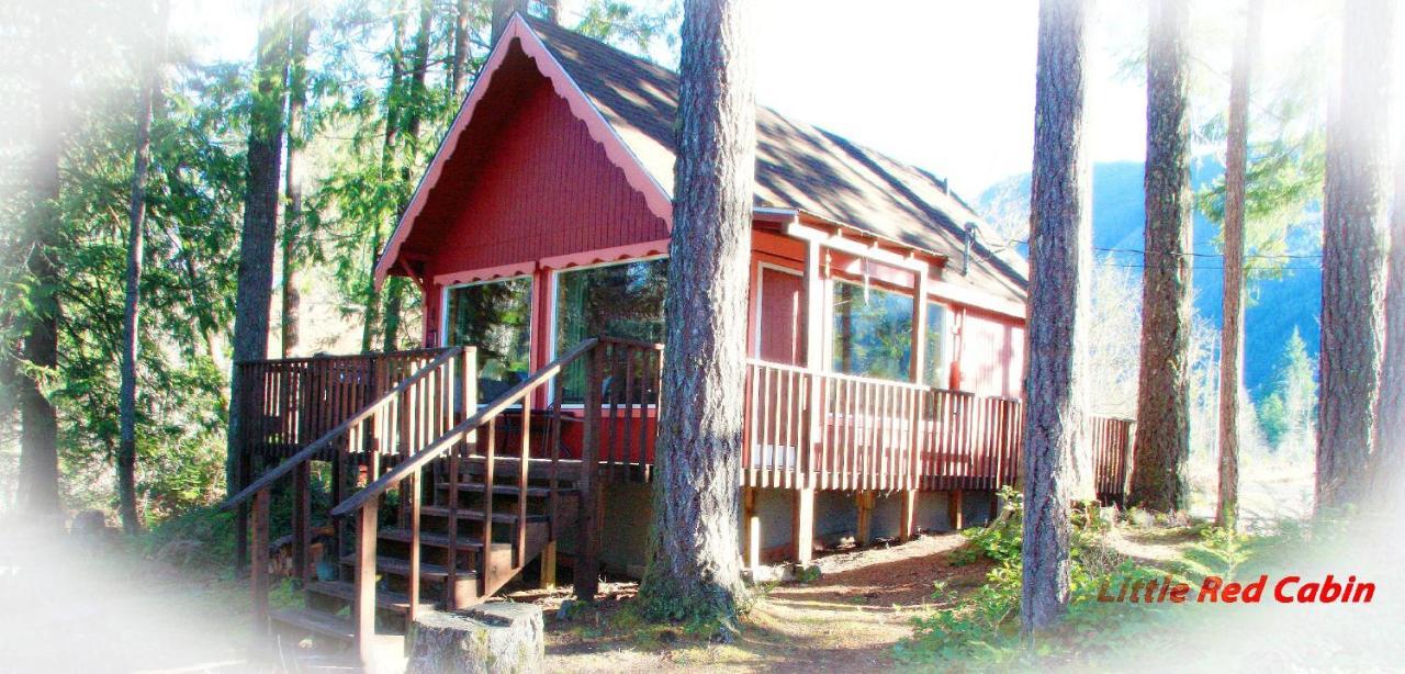 Mt Rainier Little Red Cabin アッシュフォード エクステリア 写真