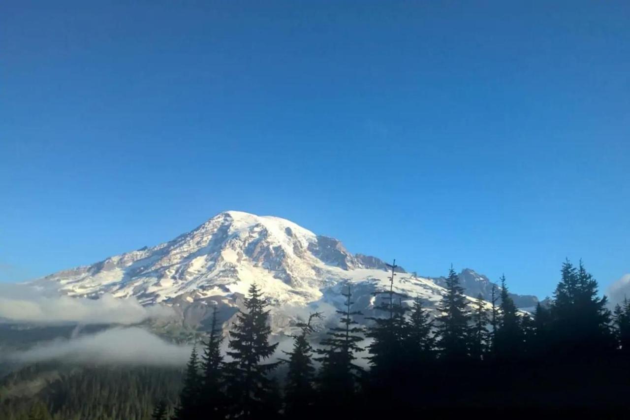 Mt Rainier Little Red Cabin アッシュフォード エクステリア 写真